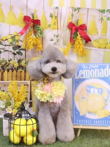 20240416宇宙くん